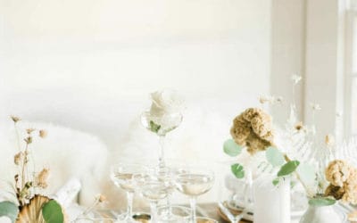 SPRUCE – Holiday Edition Lookbook