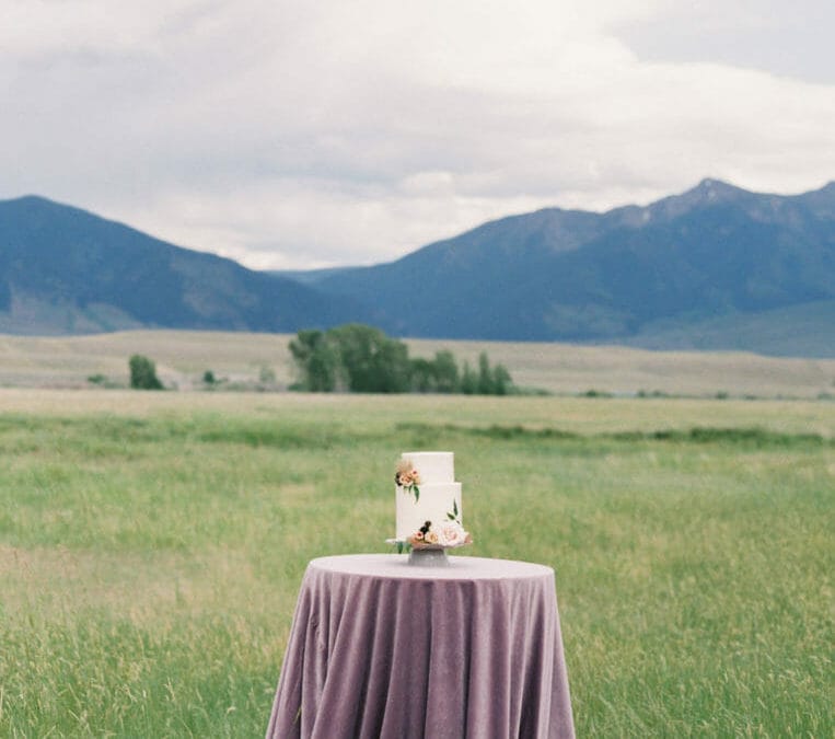 Wedding Rentals Cocktail table