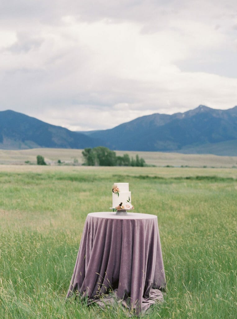 Wedding Rentals Cocktail table