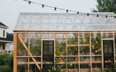 Ways to Use Rugs in a Wedding